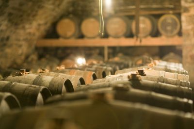 Visite des caves